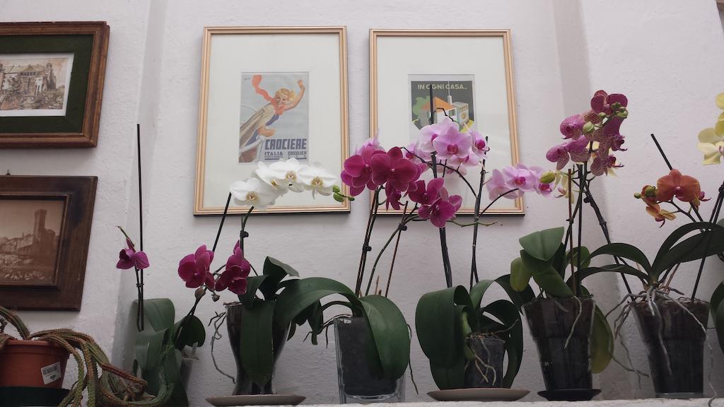 Palazzo San Florido Bed & Breakfast Citta di Castello Luaran gambar